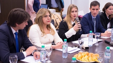 Se realizó una mesa de reglamentación de la Ley de Accesibilidad Hotelera
