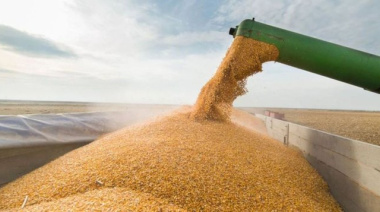 Del alivio al enojo: el campo denuncia que la quita de retenciones duró un “suspiro”