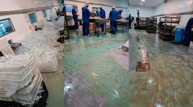 Fentanilo mortal: nuevos videos muestran cómo HLB Pharma borró pruebas