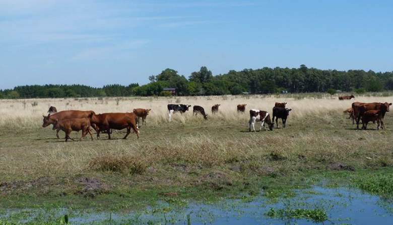 Carbap denunció protección a las agroexportadoras