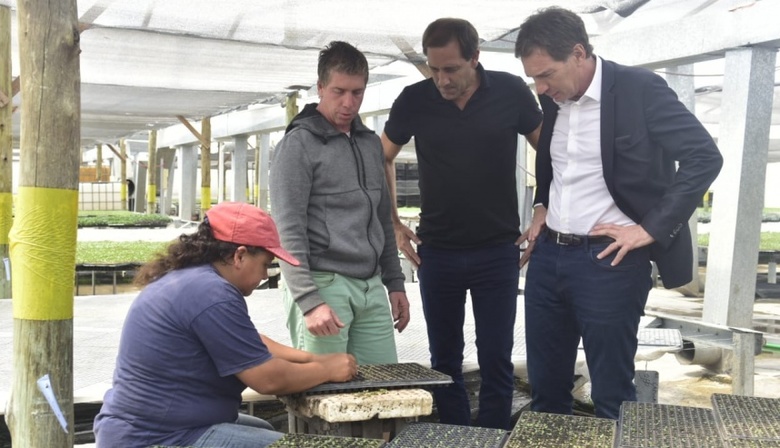 Santilli desembarca en Provincia con pocas expectativas