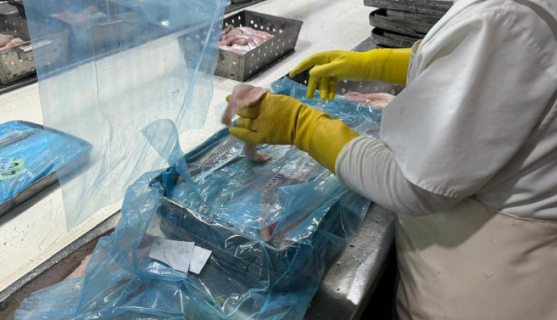 La crisis pesquera deja 400 trabajadores en la calle y obliga a importar langostino