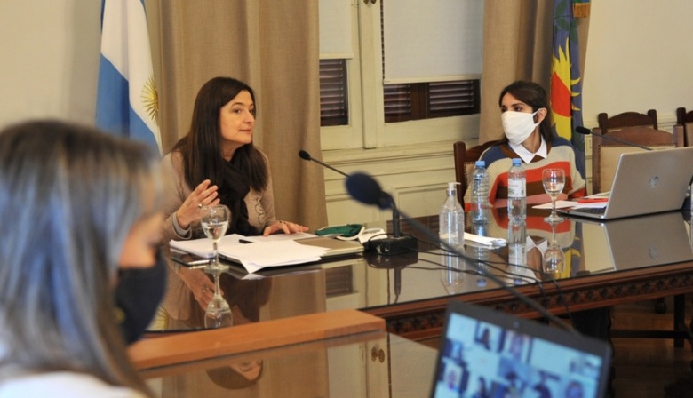 Buscan crear un Plan Estratégico Provincial de Parto Respetado