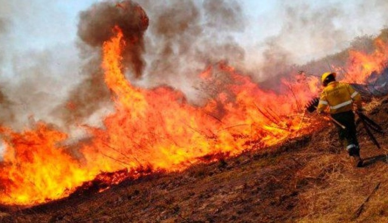 Aprueban el proyecto de Ley que prohíbe vender tierras incendiadas en el país