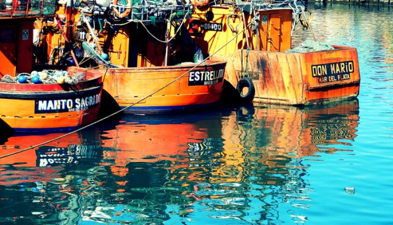 Crece la crisis pesquera en Mar del Plata y las críticas a la inacción de Montenegro