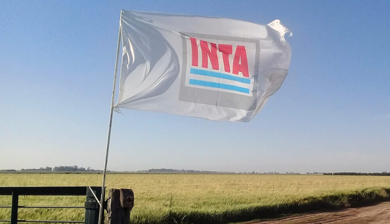 La motosierra no descansa: despedirán a 700 trabajadores del INTI y el INTA