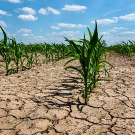 Emergencia agropecuaria: La Provincia se reúne con productores afectados por la sequía
