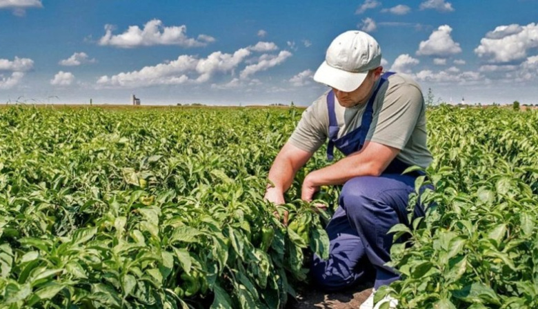 CAME celebró la prórroga del decreto que compatibiliza planes sociales con trabajo rural