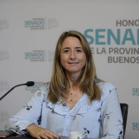 Piden que los concejales que solicitan licencia por salud mantengan la cobertura de IOMA