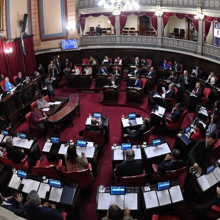 El Senado bonaerense aprobó la adhesión a la Ley Lucio