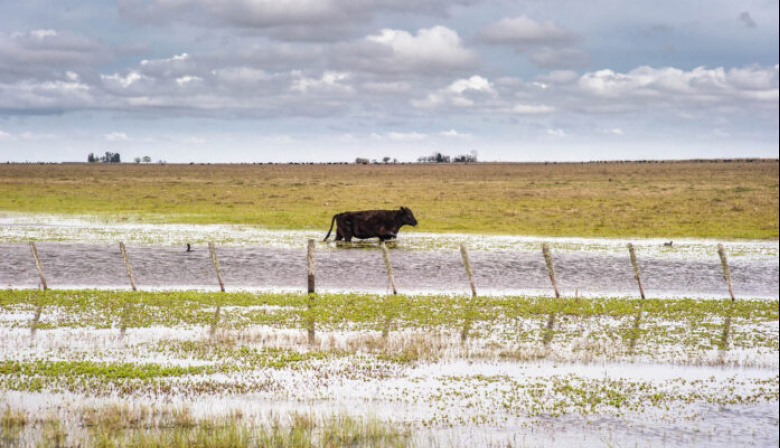 El campo bonaerense exige al Gobierno nacional reactivar las obras en el Río Salado