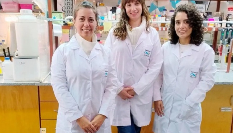 Científicas de la Universidad de Quilmes desarrollaron un apósito inteligente que acelera la cicatrización