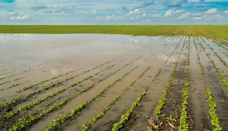El campo le exigió “medidas urgentes y concretas” a Provincia por las inundaciones
