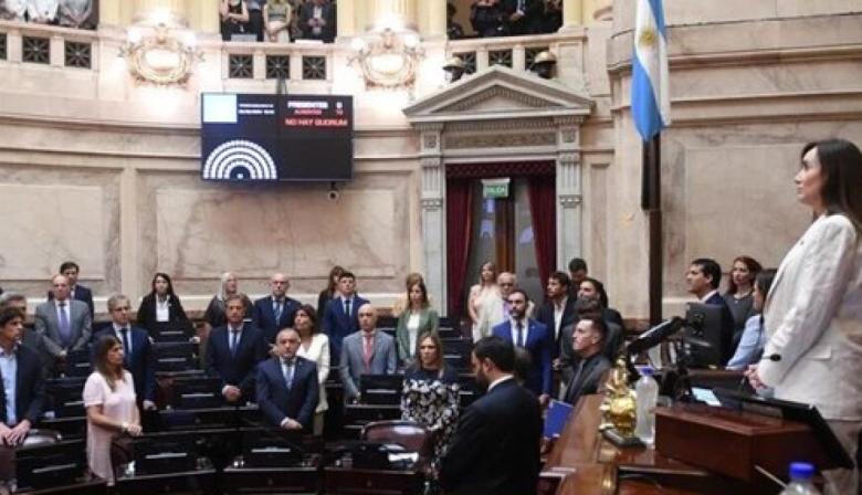 EN VIVO: el Senado debate los vetos de Milei a universidades y emergencia pediátrica