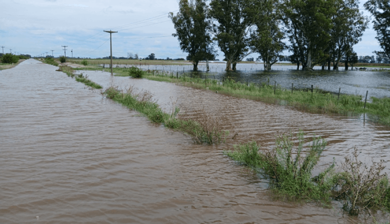 El agua no da tregua: prorrogan la emergencia agropecuaria en Bolívar, Nueve de Julio, Carlos Casares y Tapalqué