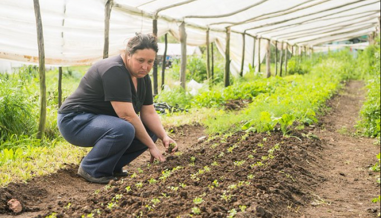 Mujeres rurales: trabajo doble, reconocimiento mínimo