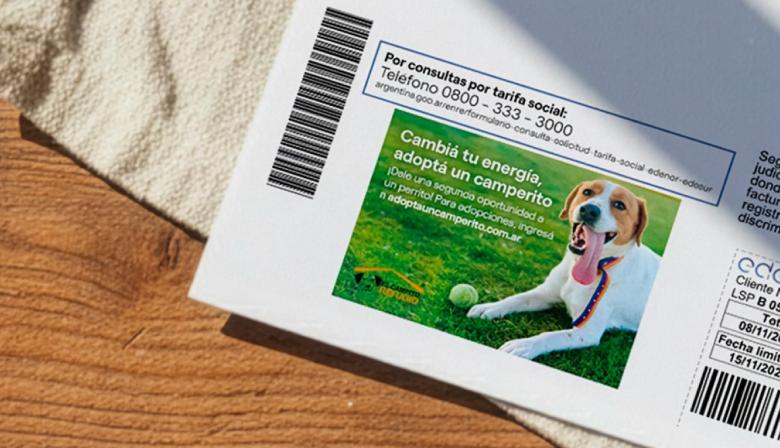 Una historia con final feliz: encontraron a su perro gracias a la factura de luz