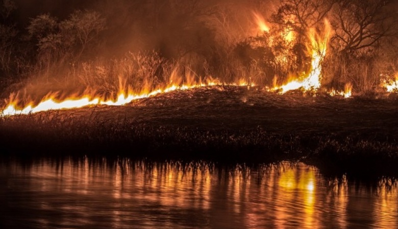 Declaran la emergencia ambiental en la zona del Delta del Río Parana