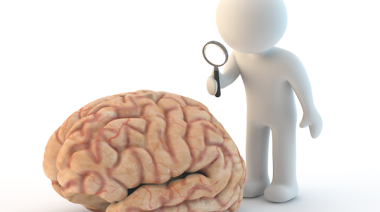 Cerebro: te contamos 5 formas de ejercitar la memoria