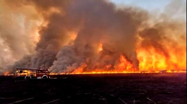 Continúan los incendios en las islas del Delta y San Pedro amaneció tapada por el humo