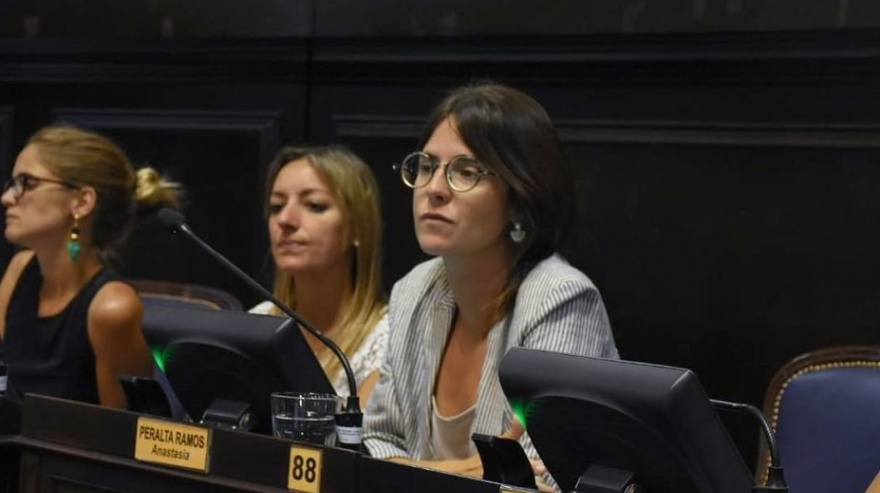 Peralta Ramos: "El Presupuesto no tiene perspectiva ambiental"