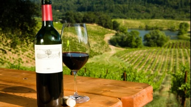 Día del Vino Argentino: radiografía de la actividad vitivinícola en nuestro país