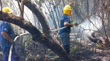 Informan que el incendio en el Delta de San Fernando ya fue extinguido