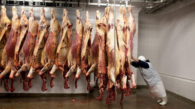 Cierre de la exportación de carne: gremios piden medidas para resguardar empleos en frigoríficos