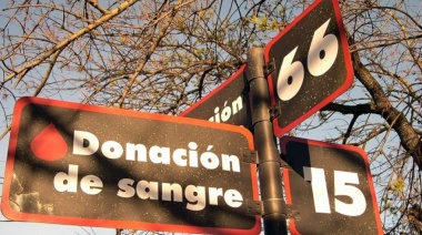 Reconocen el proyecto "Sangre Circulando" de Interés Municipal en La Plata