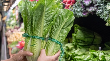 El exorbitante aumento de las verduras de hoja en la última semana: La lechuga llegó al 100%