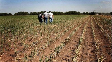 Por la sequía piden la urgente convocatoria de la Comisión de Emergencia Agropecuaria