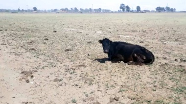 Sequía: Cañuelas se suma a los 11 distritos que declararon la Emergencia y Desastre Agropecuario