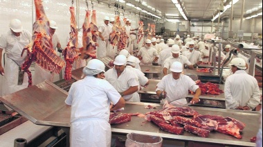 El oficialismo impulsa una ley para garantizar el acceso a precios justos de la carne