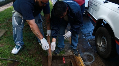 Hantavirus: San Isidro intensificó operativos de desratización para prevención
