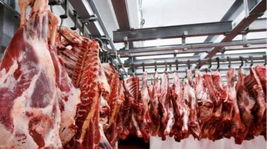 Carne: el Gobierno prohibió la exportación de siete cortes parrilleros por dos años