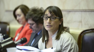 Romina Del Plá: “Con el presupuesto 2021 prorrogado, el Gobierno aplicará el ajuste”