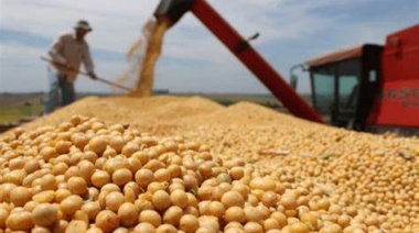 Referentes del campo bonaerense piden cambios en la normativa sobre tecnología en semillas
