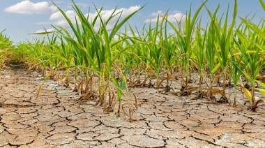 Sequía: conocé los beneficios que otorga el Gobierno para productores afectados