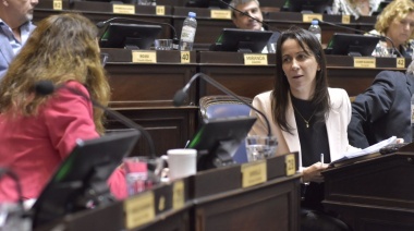 Diputada de la UCR pide explicaciones sobre los fondos para las cámaras en los colectivos