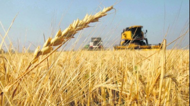 La senadora Revilla presentó un proyecto para que "cesen las restricciones" al mercado del trigo