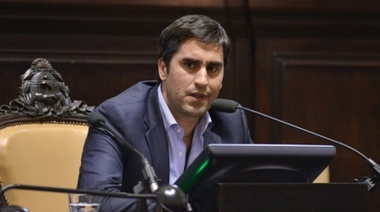 Mosca descartó "especulación electoral" en la reforma política