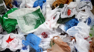 Piden crear el programa “La Plata no descarta” para prohibir los plásticos de un solo uso