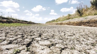 Sequía: senadora de JxC pide que Provincia y Nación acompañen a los productores afectados