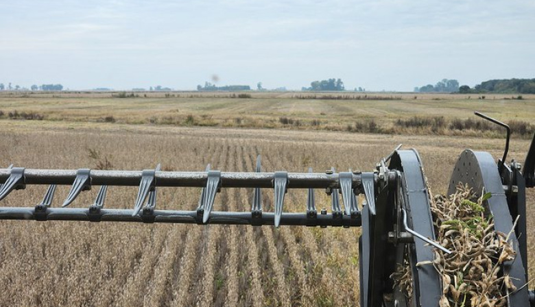 Retenciones en la mira: el agro vuelve a alzar la voz