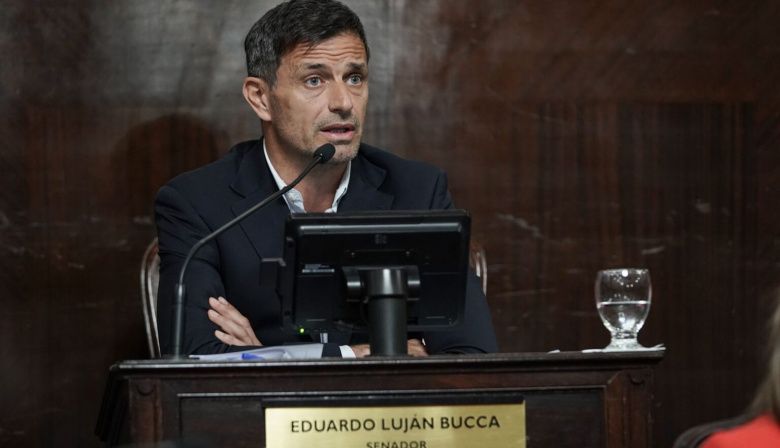 Senado bonaerense: exigen una ley para frenar las muertes por monóxido de carbono