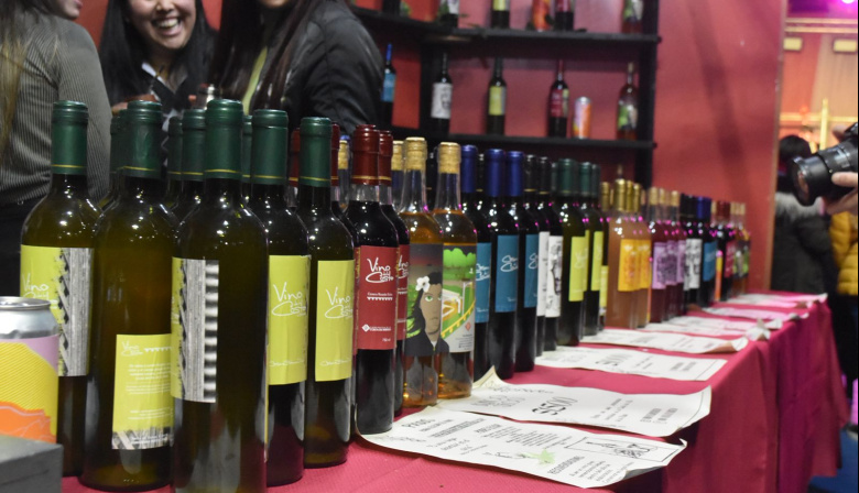 Llega la 22° edición de la Fiesta Provincial del Vino de la Costa