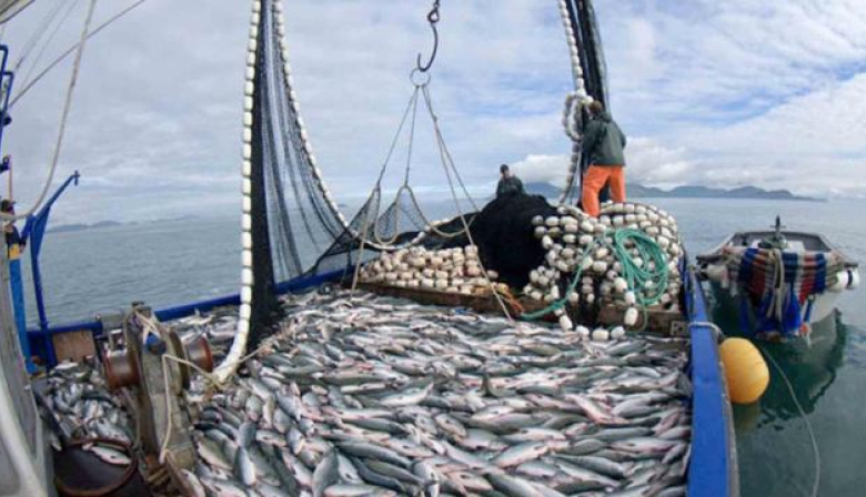 Abad propone eliminar retenciones para impulsar la pesca como motor de desarrollo nacional