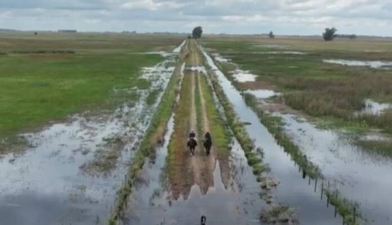 Saladillo pidió a la Provincia extender la emergencia agropecuaria hasta fin de año