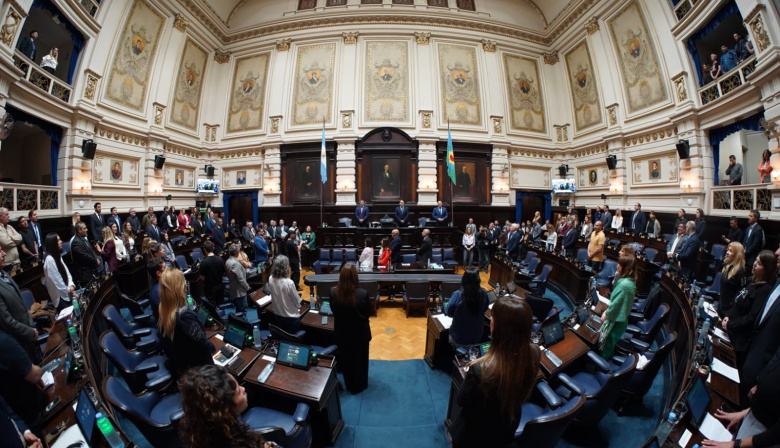 Acompañantes terapéuticos: media sanción a la ley que jerarquiza su labor en salud y derechos humanos