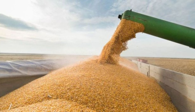 Del alivio al enojo: el campo denuncia que la quita de retenciones duró un “suspiro”